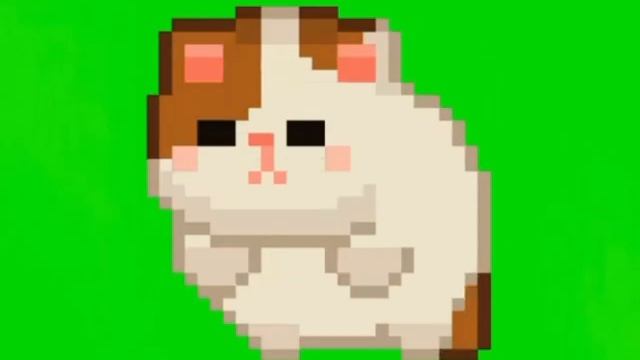 штучка для видео