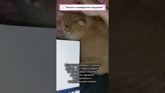 Расскажите про своих домашних животных 💞