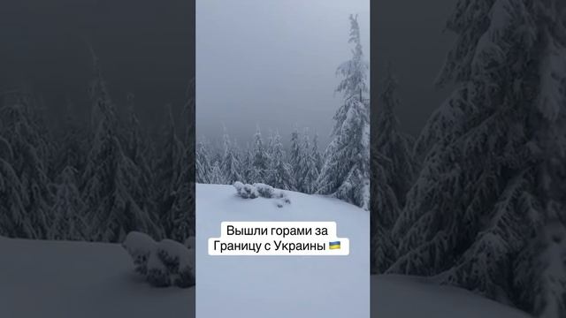 Группе украинцев удалось сбежать от моГилизаторов в Румынию