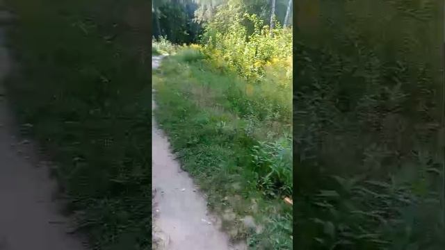 1000005392.mp4