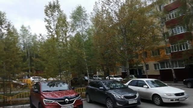 #сургут##шпиц