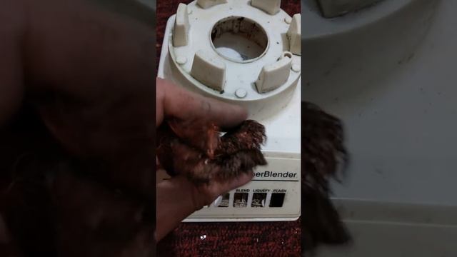 медь в Sunmile Blender #youtubeshorts #shortsyoutube #short #shorts