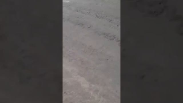 Мы в щи(4)