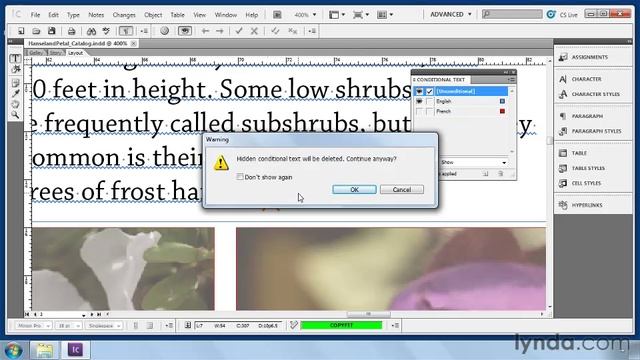 0702 Using conditional text