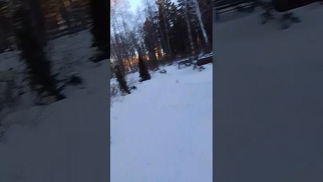 VID-20250107-WA0040