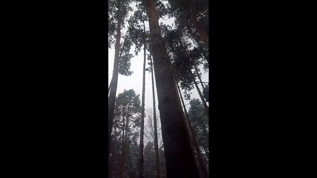 летел и таял