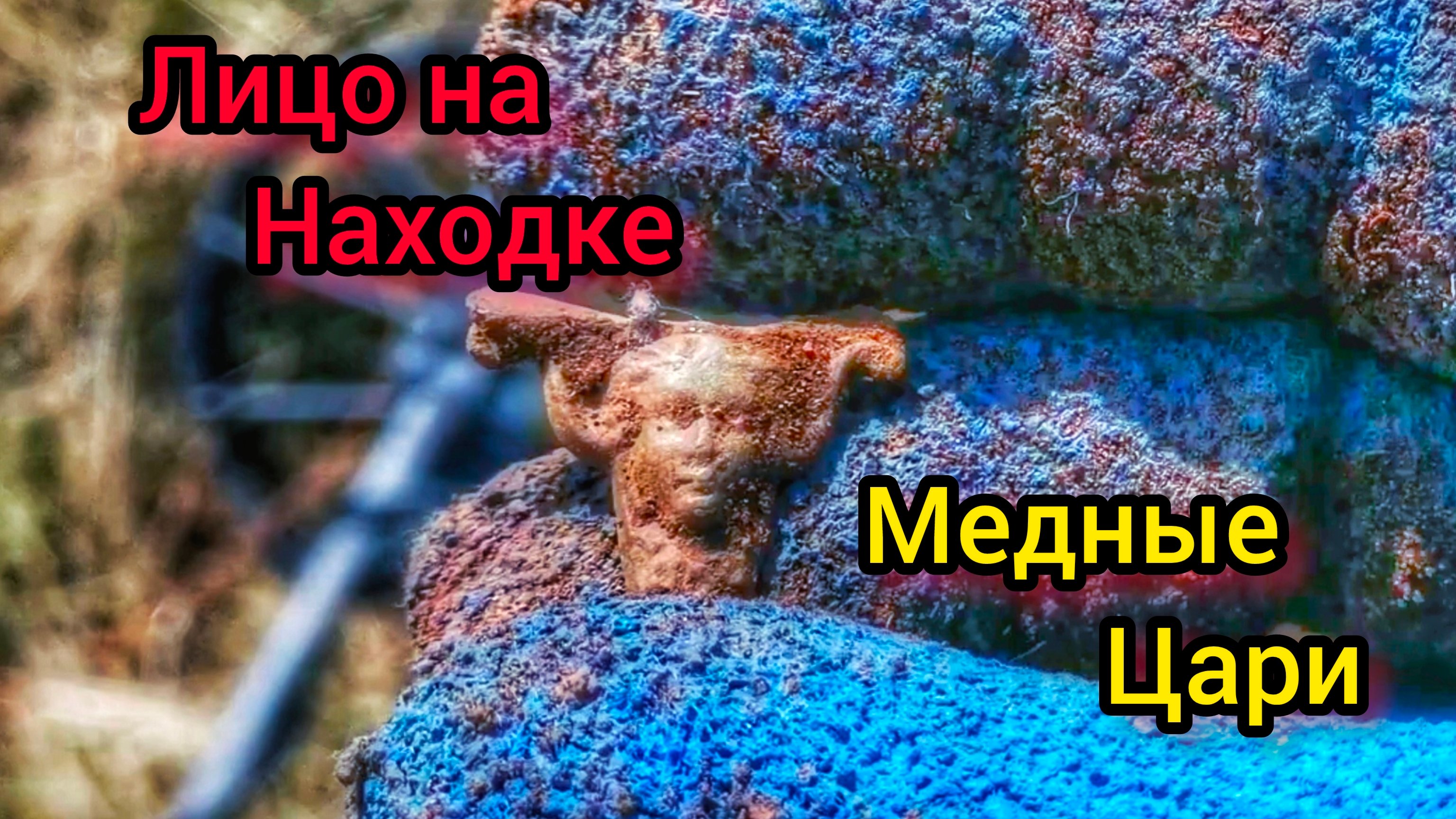 Поиск монет. Нокта симплекс. Нокта легенд