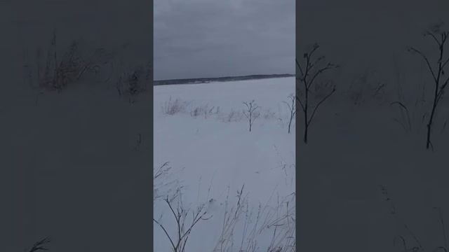 Рубрика находки 0
