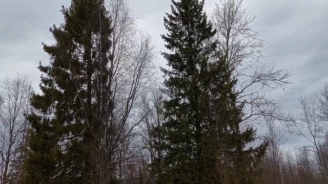 ВЛОГ: 23.04.22  СЕЗОН ШАШЛЫКОВ ОТКРЫТ /УЧАСТОК В ВОДЕ