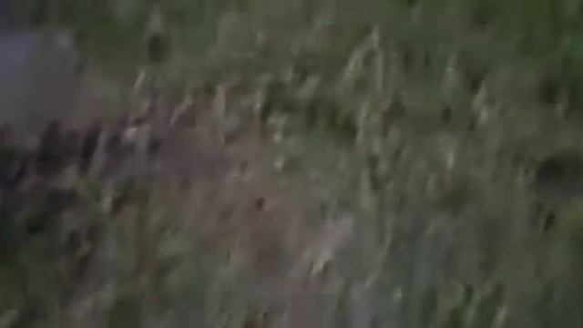 Сильная гроза и затопление.