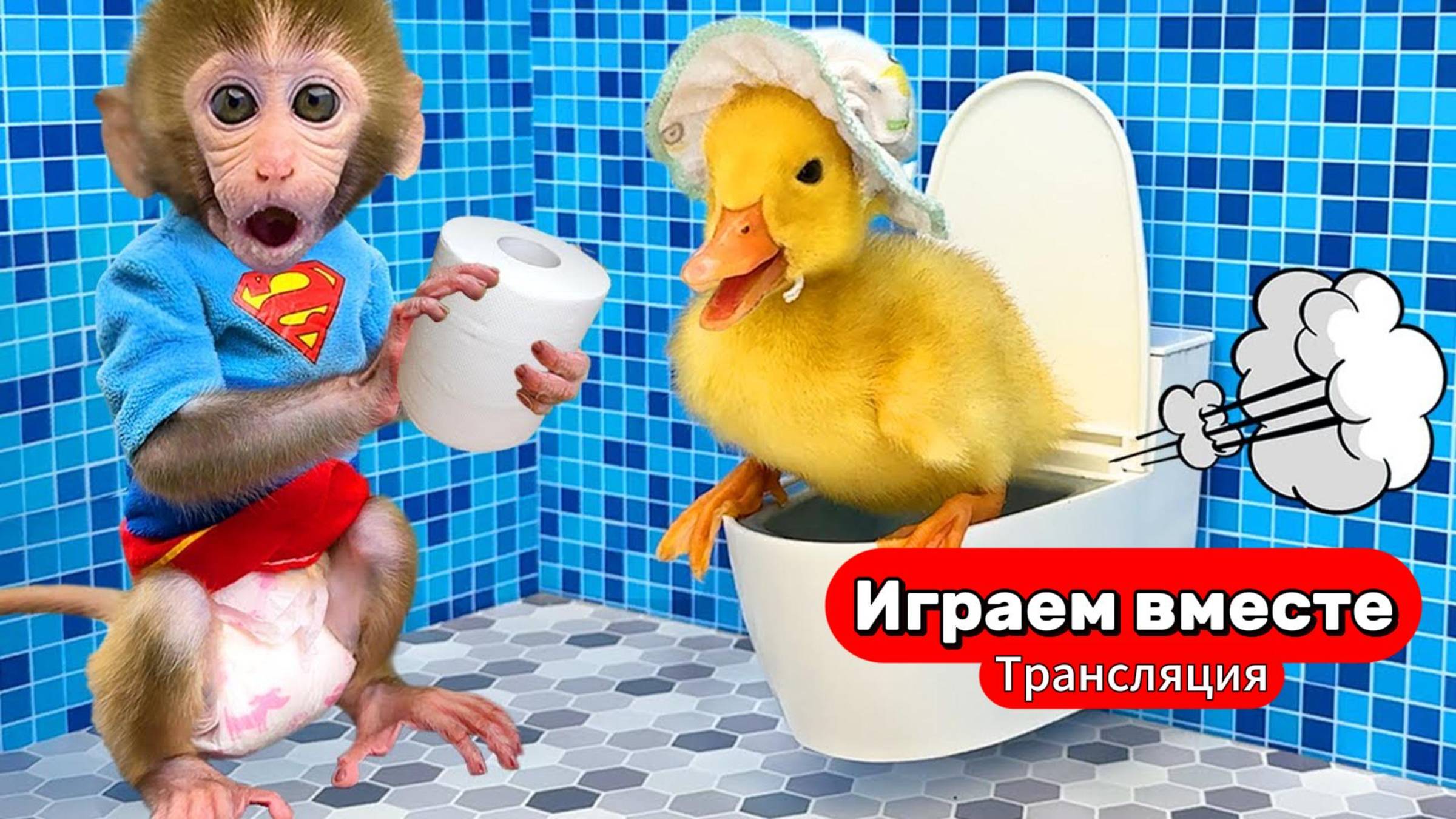 Приключения Обезьянки и друзей 🐒 Играем с Уточкой ! Трансляция для детей