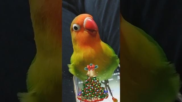 Snapchat-2082401373.mp4