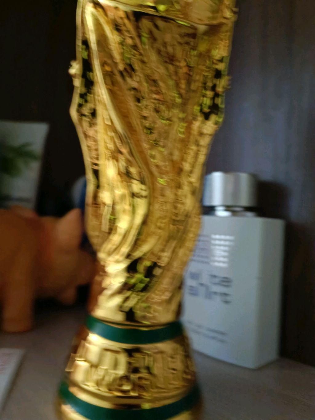 world cup дома