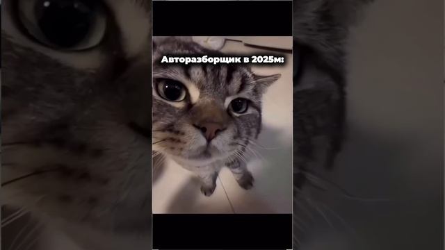 Если весь 24й год продавал китайские запчасти...