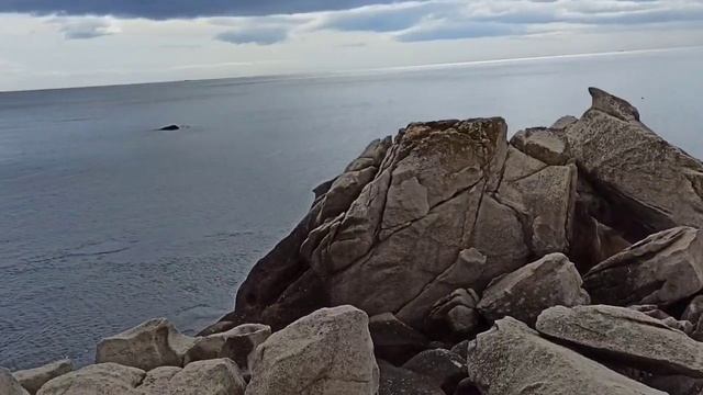 Прогулки на свежем воздухе по берегу Японского моря.