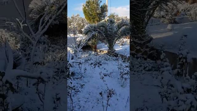 Рождество!