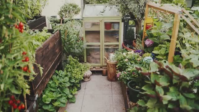 Growing a Small Vegetable Garden on my Balcony