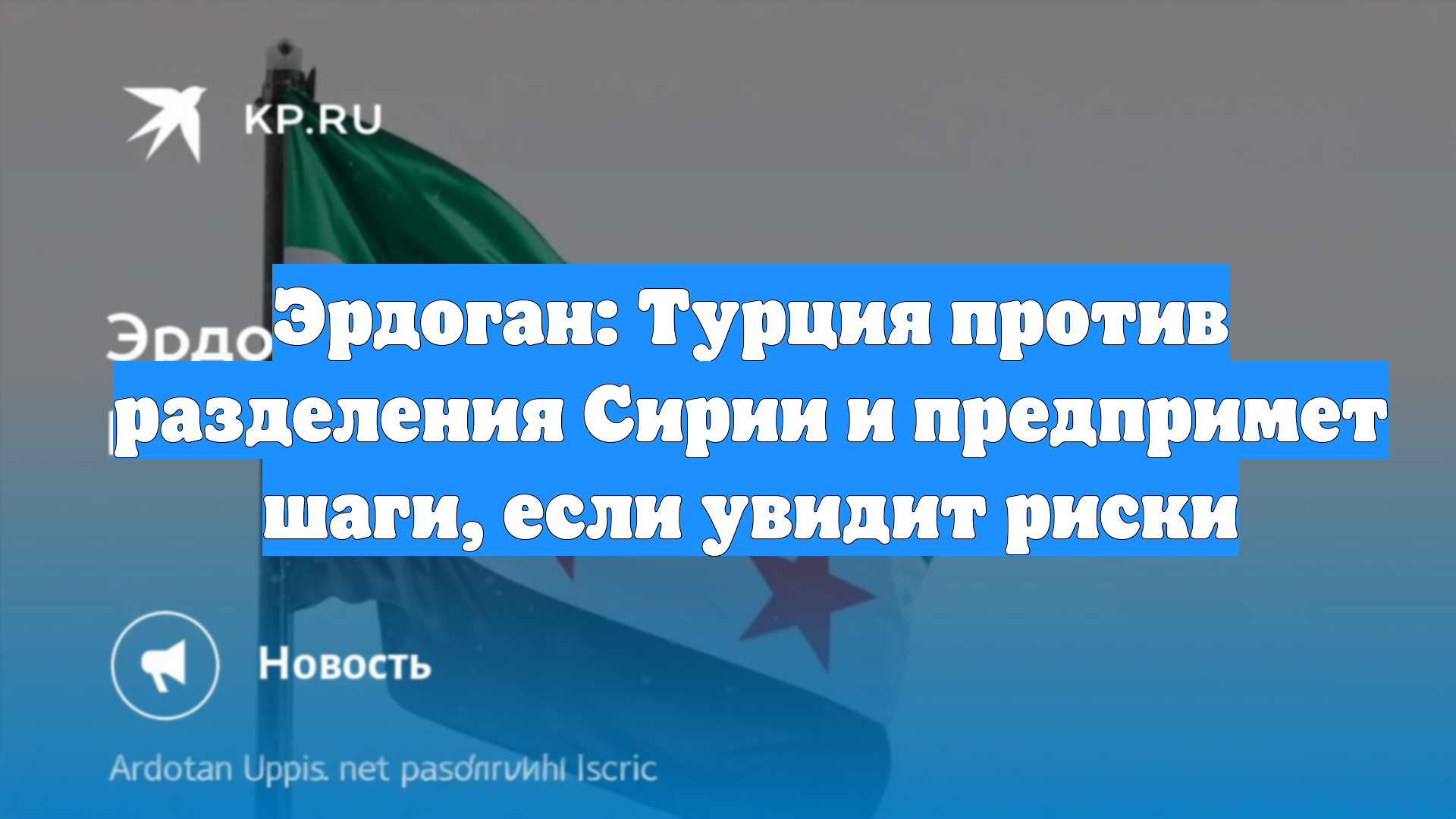 Эрдоган: Турция против разделения Сирии и предпримет шаги, если увидит риски