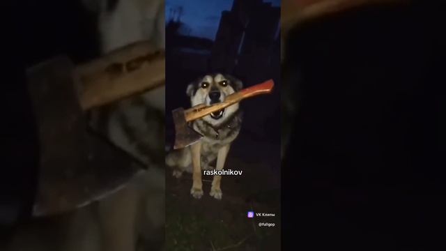 Волк+топор=?
