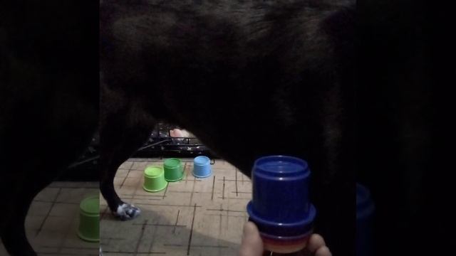 Собираем стаканчики2 07.01.2015