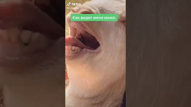 Как вижу себя я и как видит меня мама