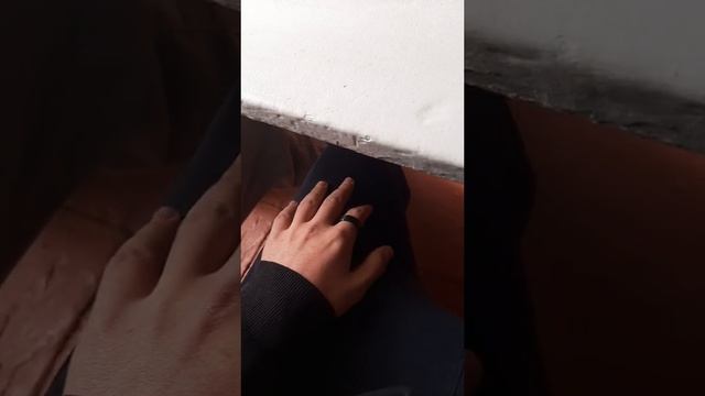 7c35f79c95474b94b6c815c55d837759
