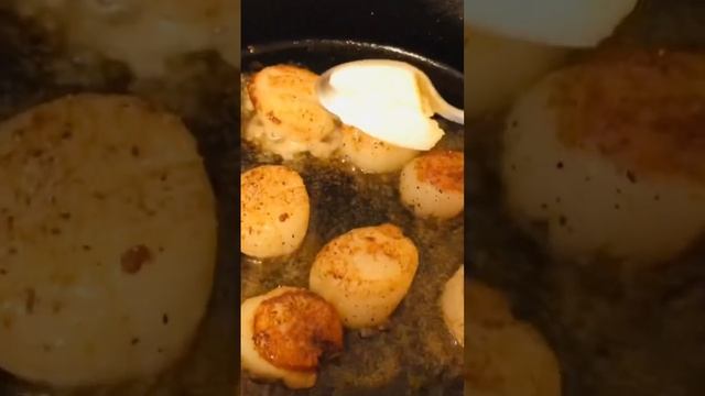 COOKING SCALLOPS