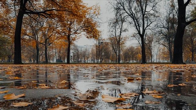 Веселая песня осенью.