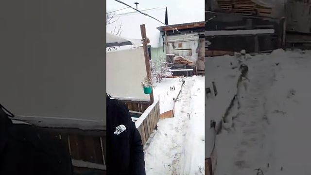 Вылазка на огород на шашлычки (ноябрь 2020)