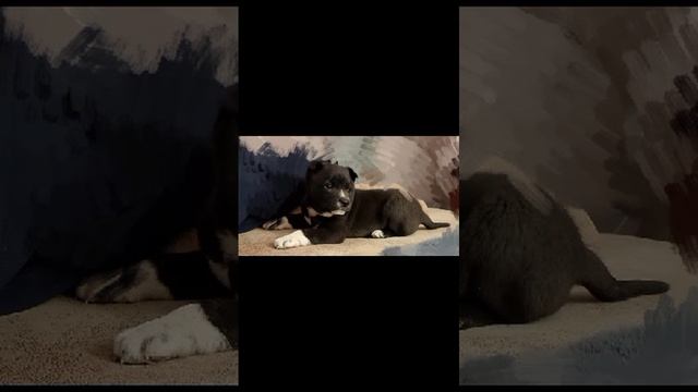 1000015398.mp4