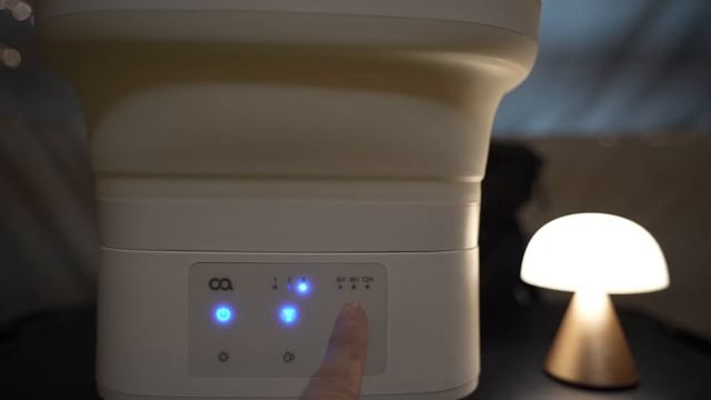 이 가을의 끝을.... 아니 술을 잡고🍶 눈과 입이 즐거웠던 솔로캠핑 / 대패삼겹 돌돌말이 술찜과 갈비에 일품진로 / 캠핑용 가습기 / 영월 하얀여울 캠핑장
