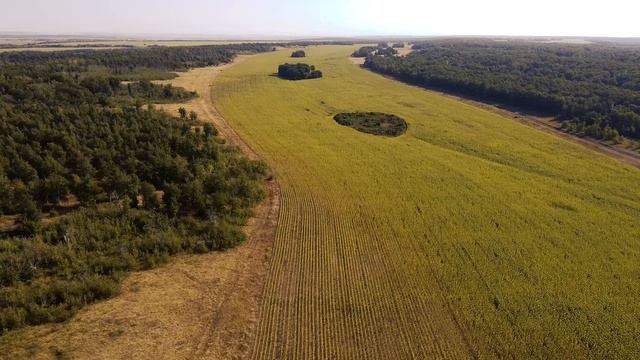 DJI_0389_5