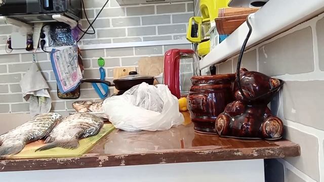 ОКРОШКА, КАРАСИКИ И ЕДЕМ С ЛУЛУ В ГОРОД
