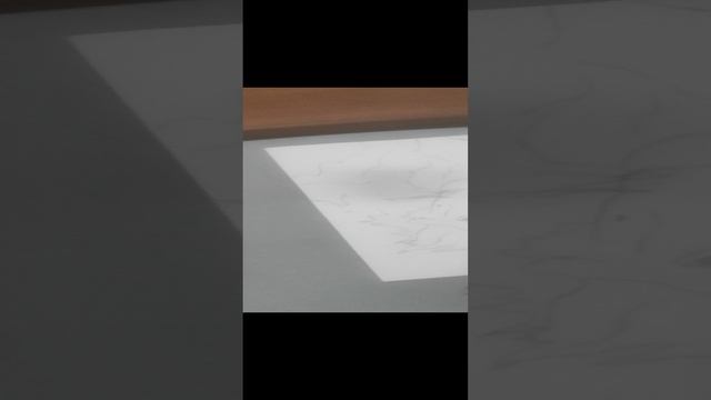 1000000419.mp4