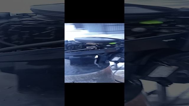 Лодочный мотор Джонсон Эвенруд.