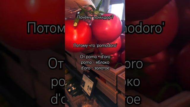 Эти 'золотые яблочки' завезены из Мексики 🍅 #помидоры #томаты #tomato #tomatoes #shorts #lifestyle