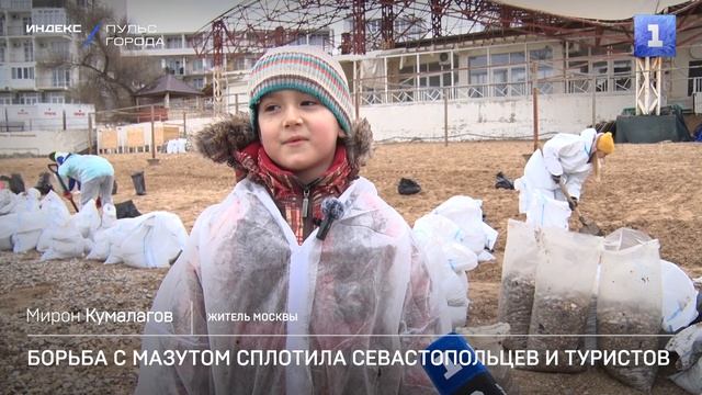 Борьба с мазутом сплотила севастопольцев и туристов