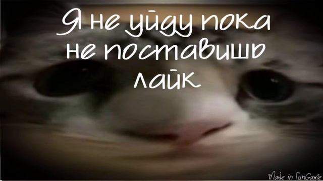 Тестим новое обновление в блокпост мобайл 1.39 / открываем кейсы в blockpost mobile 1.39