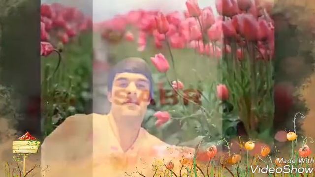 ГАРМИ БАЧА 94