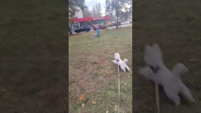 Вестики всегда составят Вам компанию💯! Во всем! 🥰🥰🥰