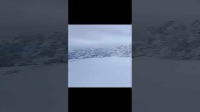 Брлогорье