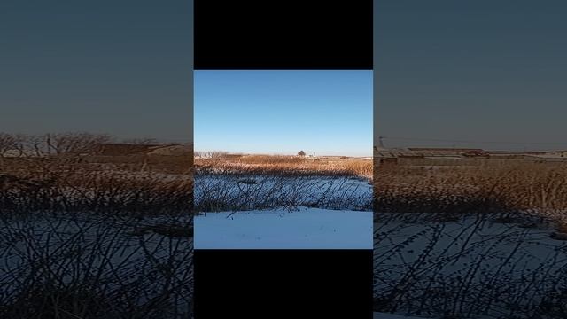 1000025583.mp4