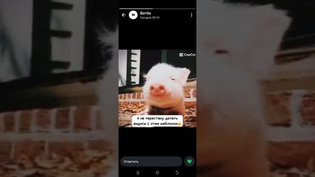 статус моего друга..
имя друга-Витя или же Витёк