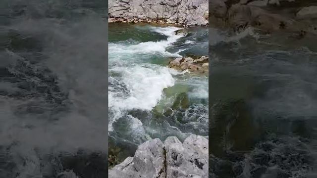 1000064781.mp4