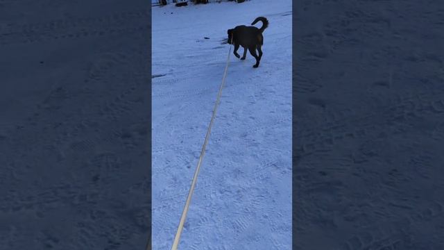 1000014367.mp4