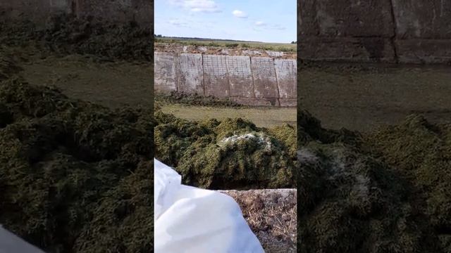 Силос