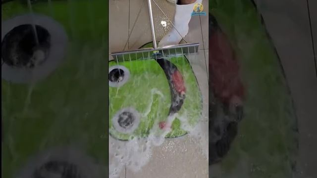 НАСТЯ ДЫМОВА ДУРА