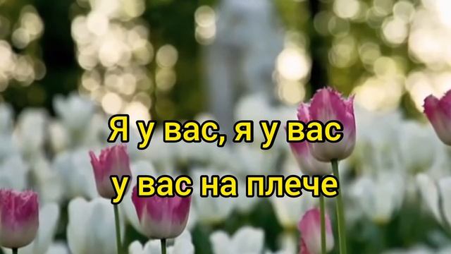 ДДТ - Я у вас - Караоке