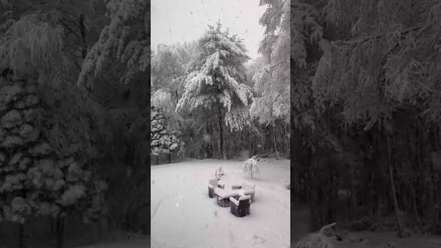 Зимняя сказка в Коннектикуте (США, 5.12.2024).