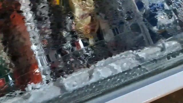 Очень короткий день